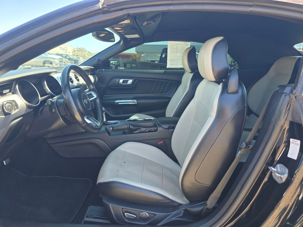Thumbnail: 2019 Ford Mustang - 9