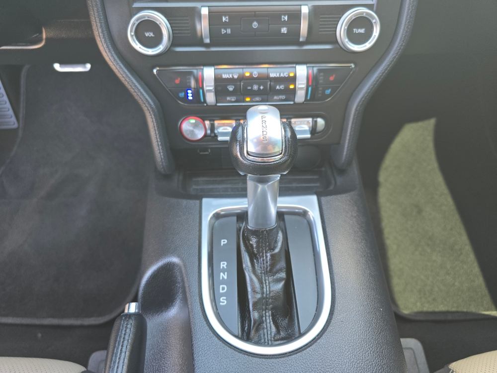 Thumbnail: 2019 Ford Mustang - 13