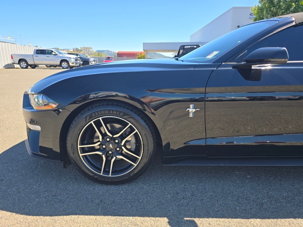 Thumbnail: 2019 Ford Mustang - 15