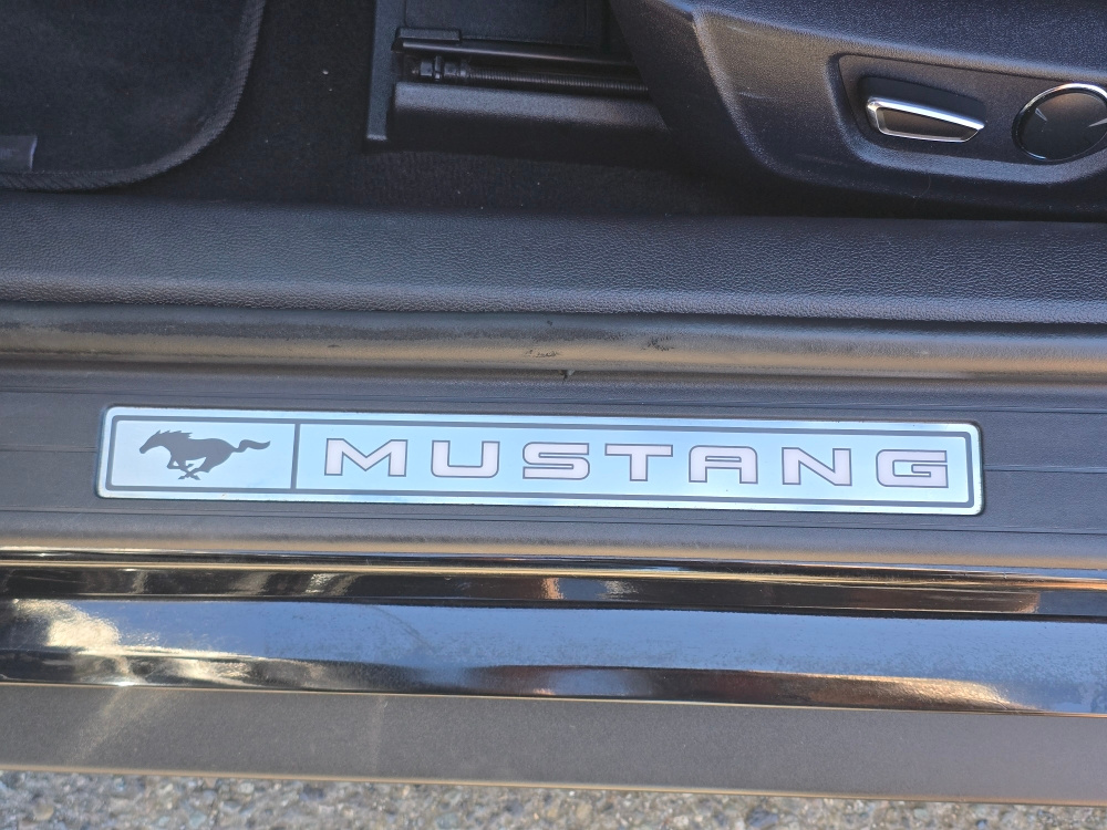 Thumbnail: 2019 Ford Mustang - 16