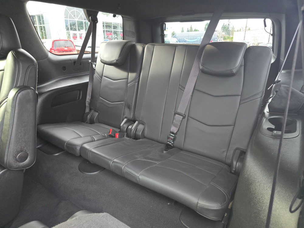 Thumbnail: 2019 Cadillac Escalade - 19