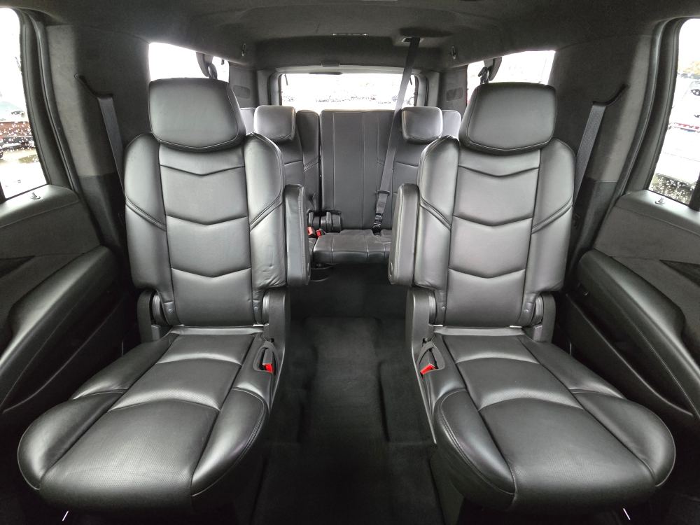 Thumbnail: 2019 Cadillac Escalade - 20