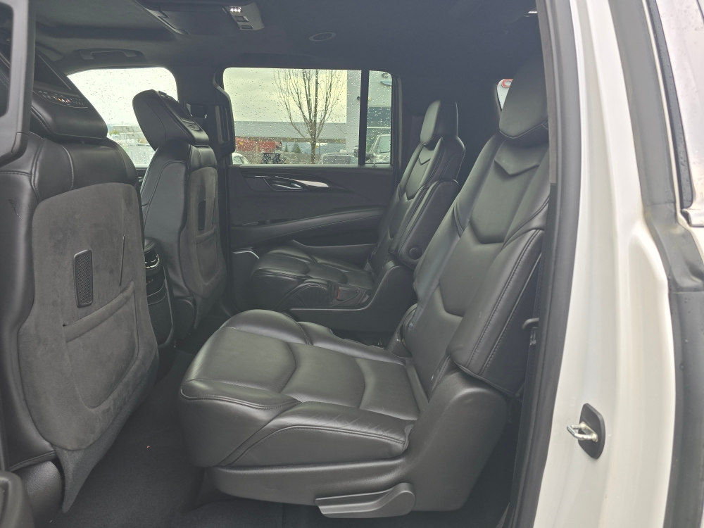 Thumbnail: 2019 Cadillac Escalade - 11