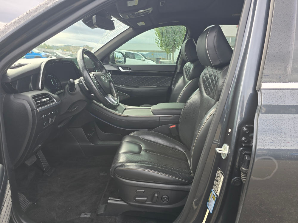 Thumbnail: 2020 Hyundai Palisade - 9