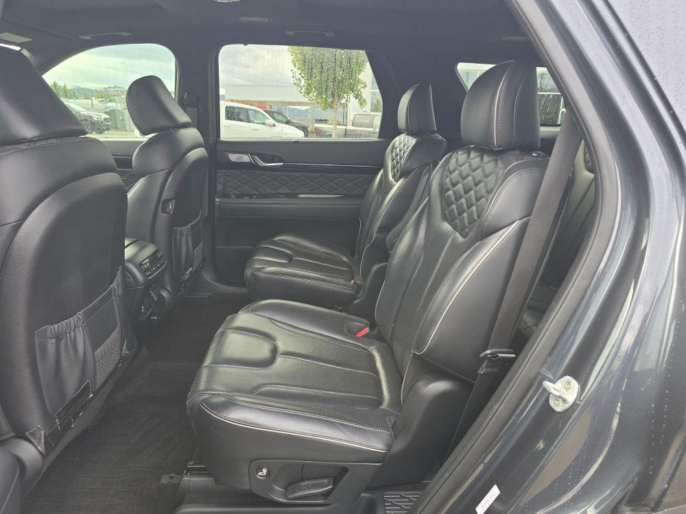 Thumbnail: 2020 Hyundai Palisade - 10