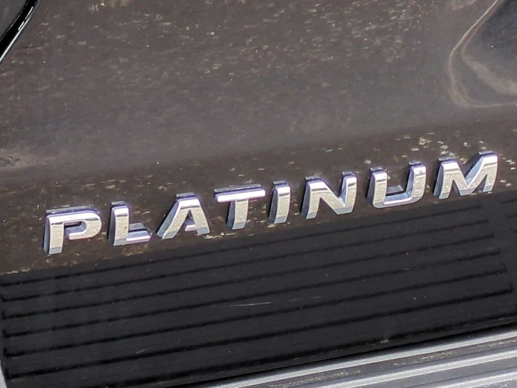 2021 Ford Expedition Platinum 7