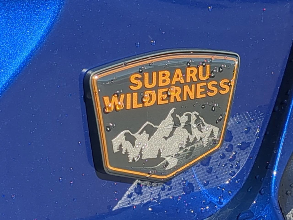 Thumbnail: 2025 Subaru Crosstrek - 19