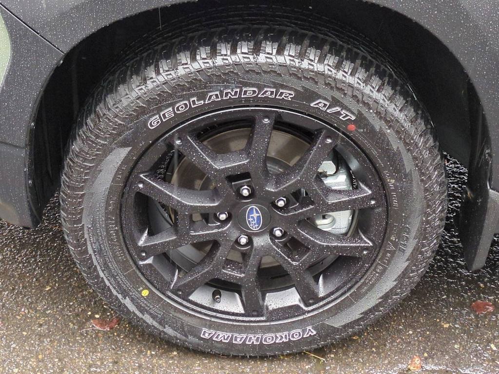 Thumbnail: 2025 Subaru Crosstrek - 8