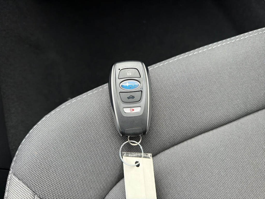 Thumbnail: 2025 Subaru Crosstrek - 19