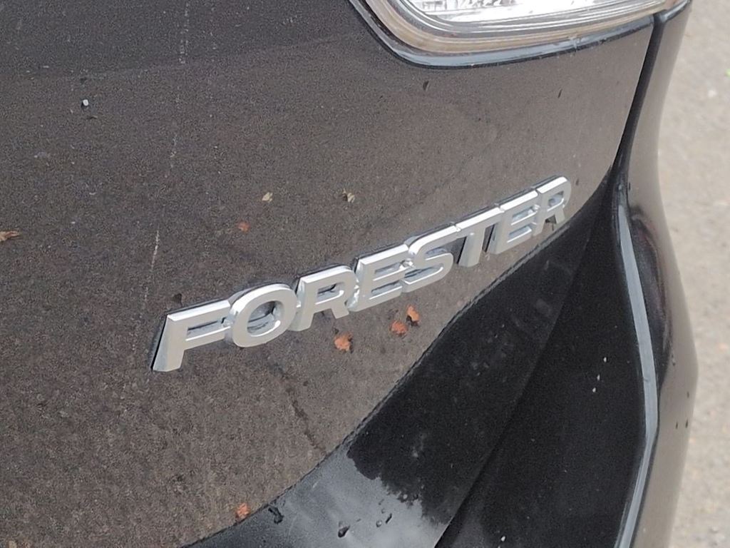 Thumbnail: 2019 Subaru Forester - 26
