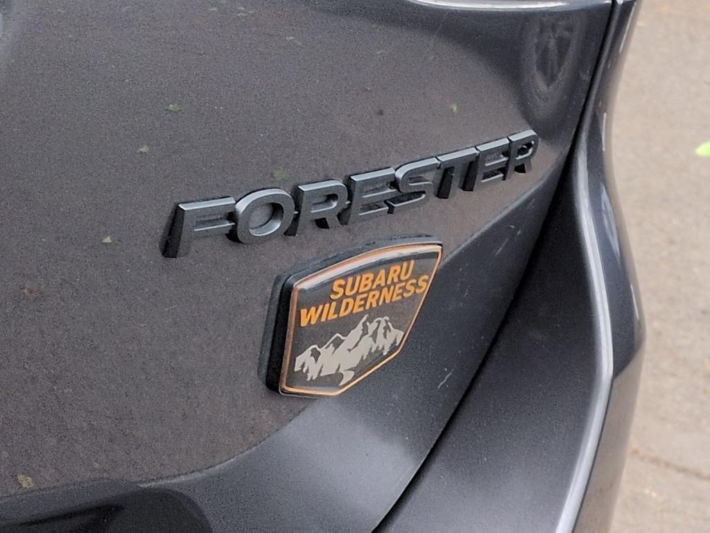 Thumbnail: 2022 Subaru Forester - 25