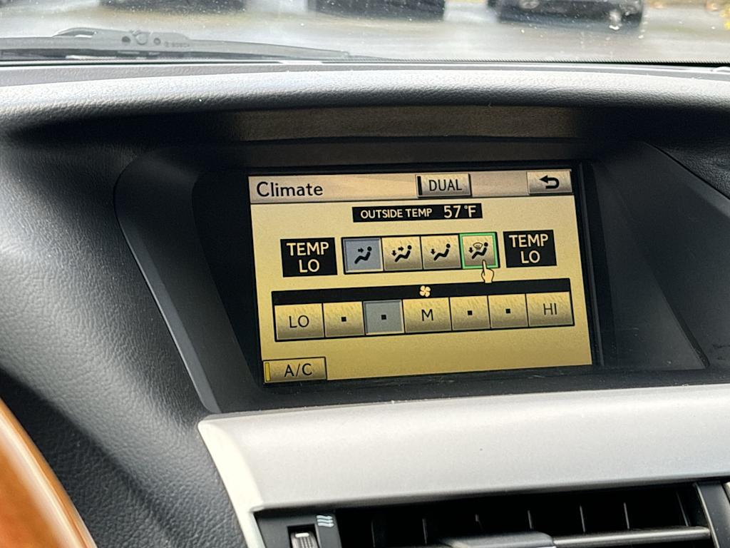 2010 Lexus RX 350 21