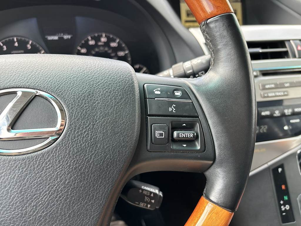 2010 Lexus RX 350 17