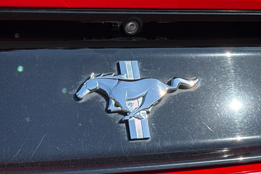 Thumbnail: 2017 Ford Mustang - 7