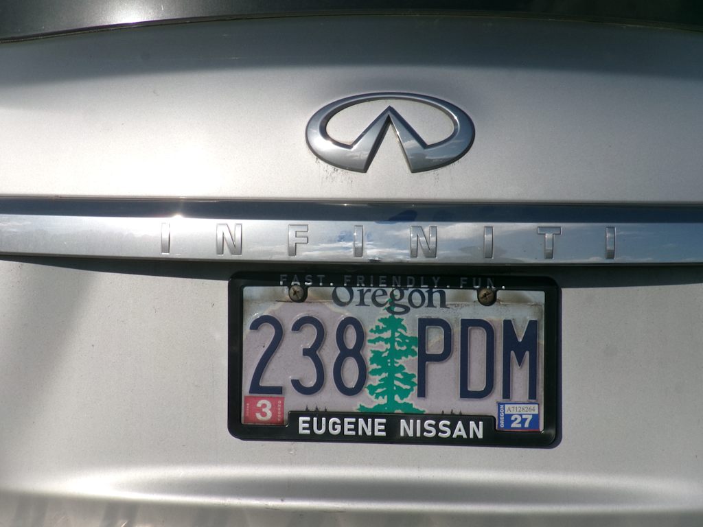 Thumbnail: 2019 INFINITI QX80 - 6