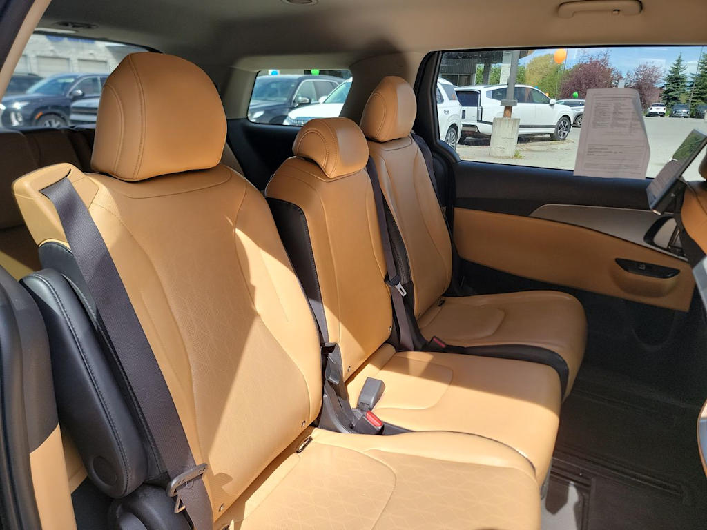 Thumbnail: 2022 Kia Carnival - 12