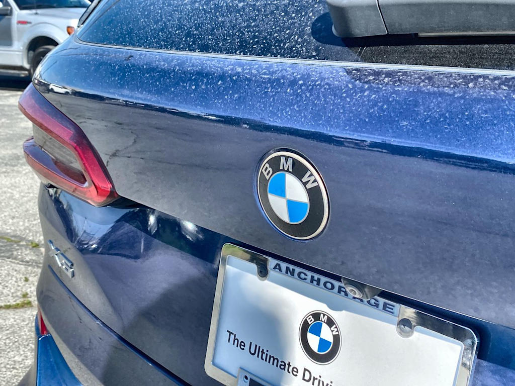 Thumbnail: 2020 BMW X5 - 29