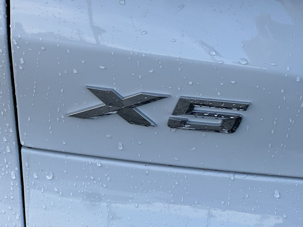 Thumbnail: 2019 BMW X5 - 24