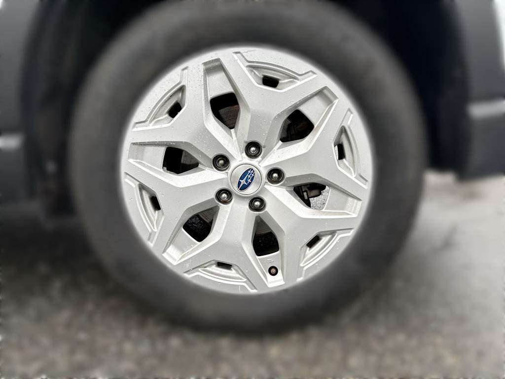 Thumbnail: 2020 Subaru Forester - 6
