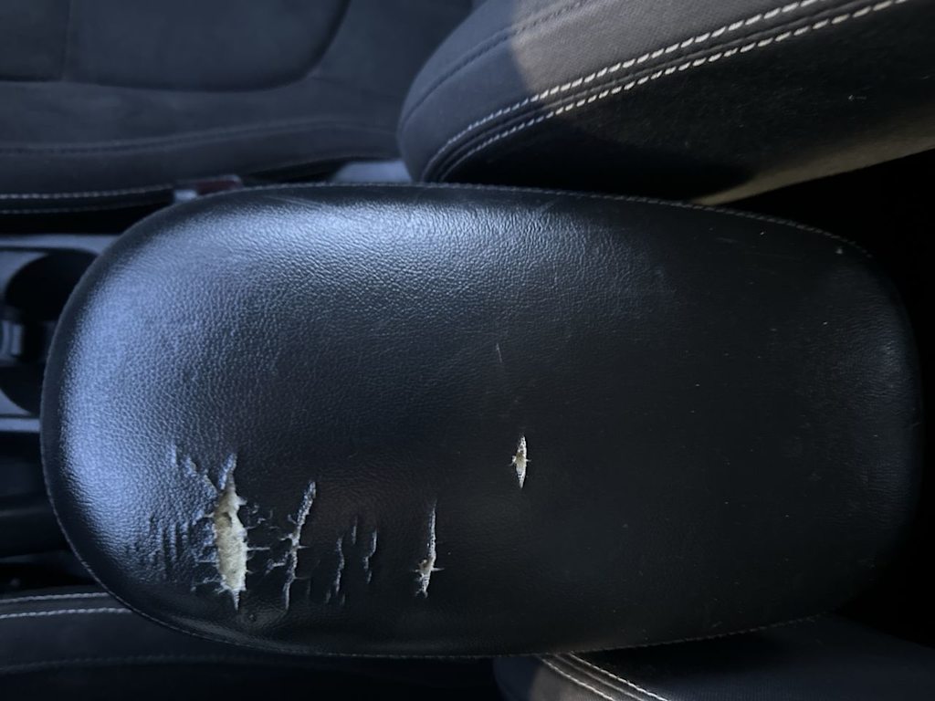 Thumbnail: 2018 Kia Soul - 20