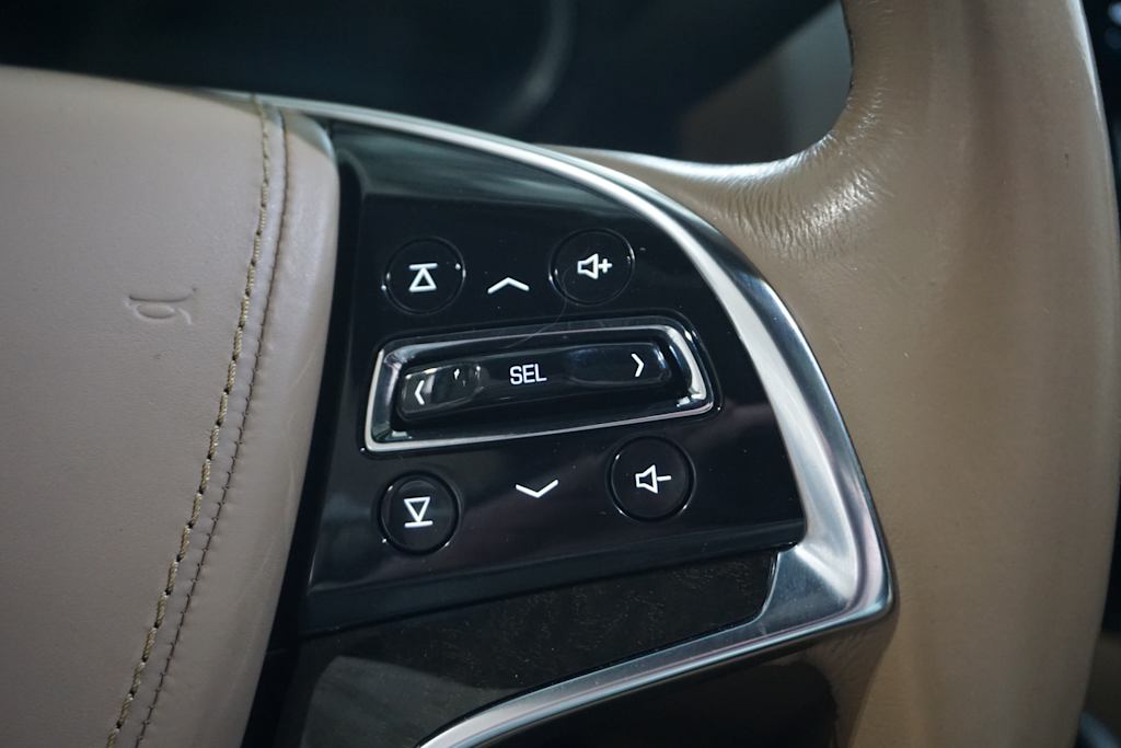 2020 Cadillac Escalade ESV Platinum 25