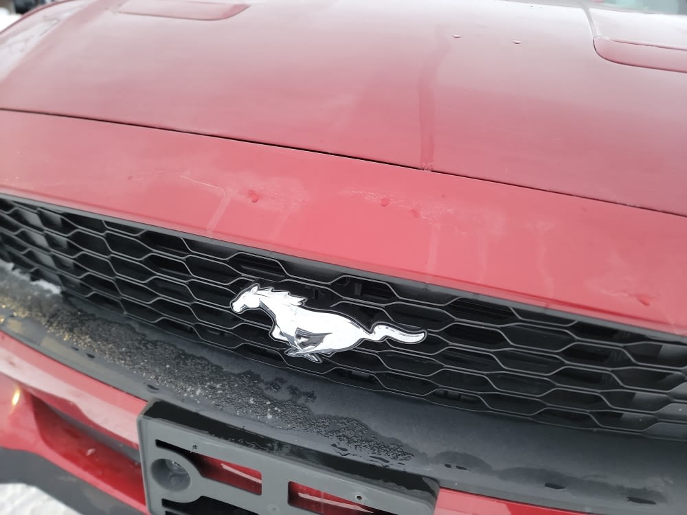 Thumbnail: 2020 Ford Mustang - 7