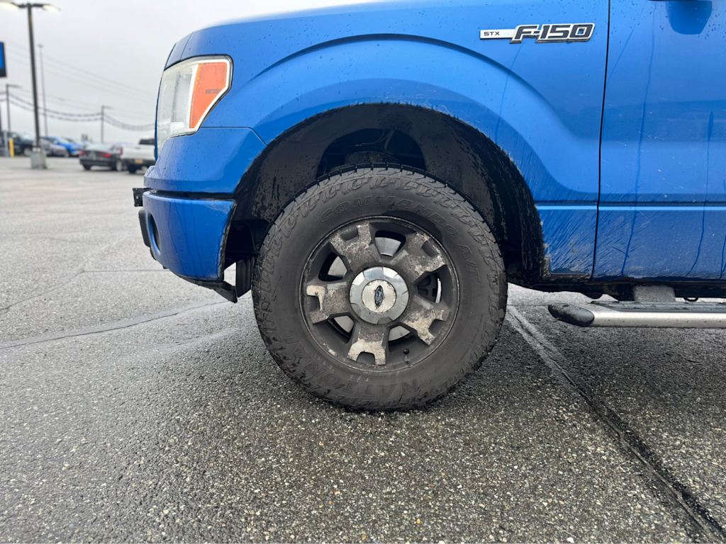Thumbnail: 2010 Ford F-150 - 6
