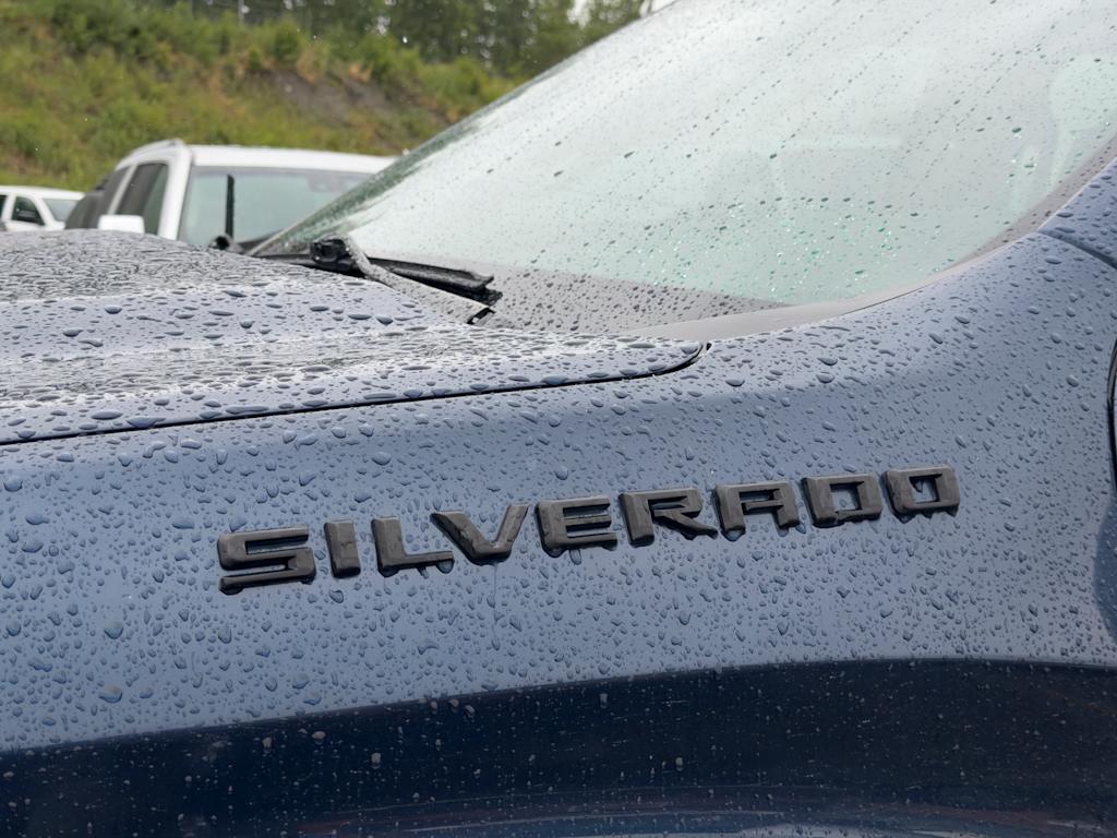 Thumbnail: 2019 Chevrolet Silverado 1500 - 6