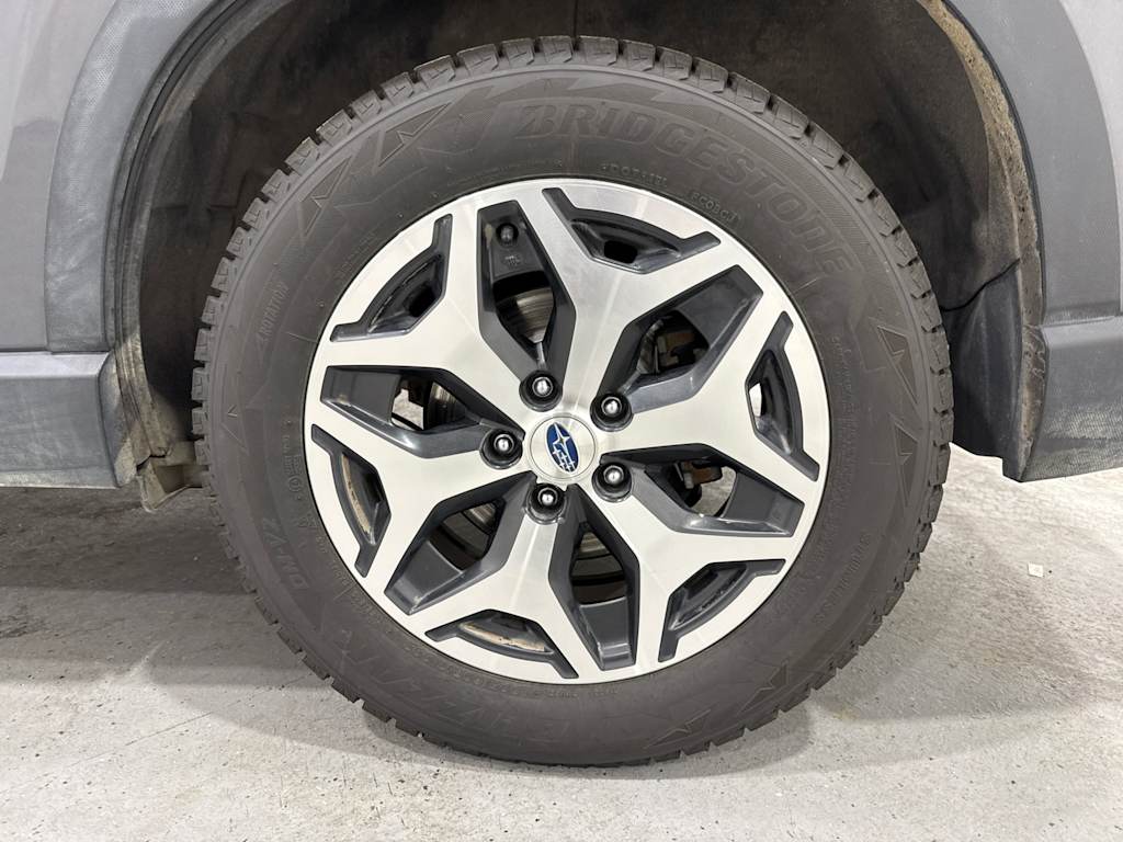 Thumbnail: 2023 Subaru Forester - 17