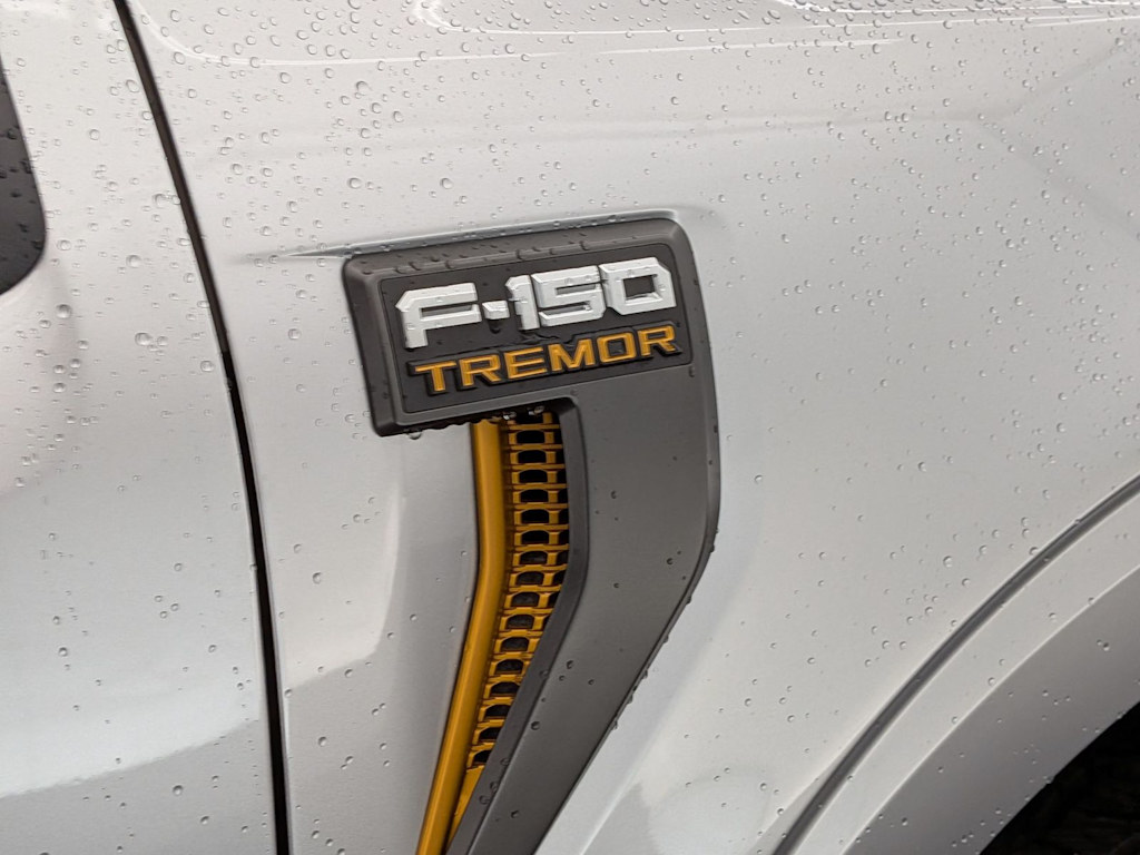 Thumbnail: 2025 Ford F-150 - 28