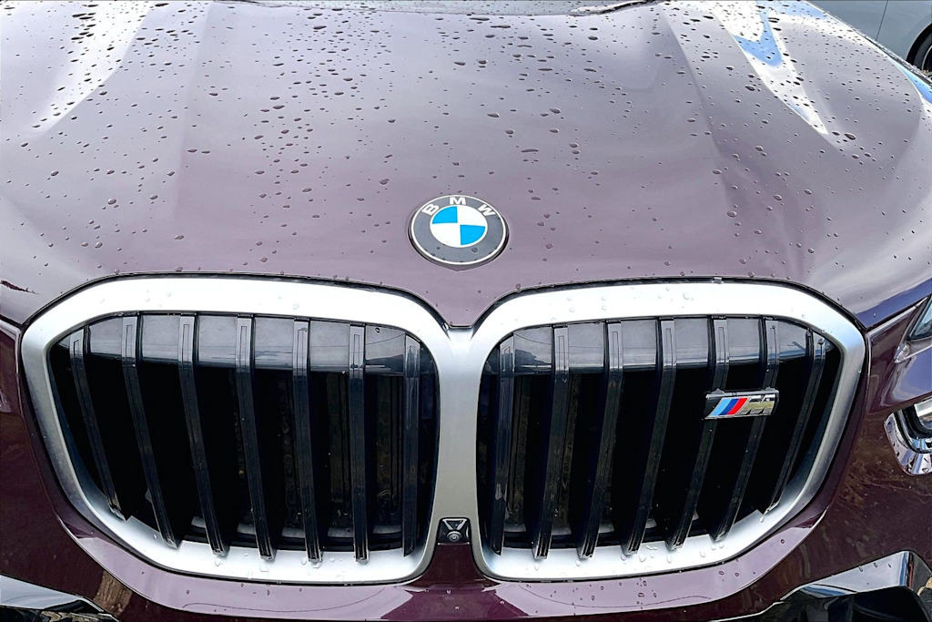 Thumbnail: 2025 BMW X7 - 19