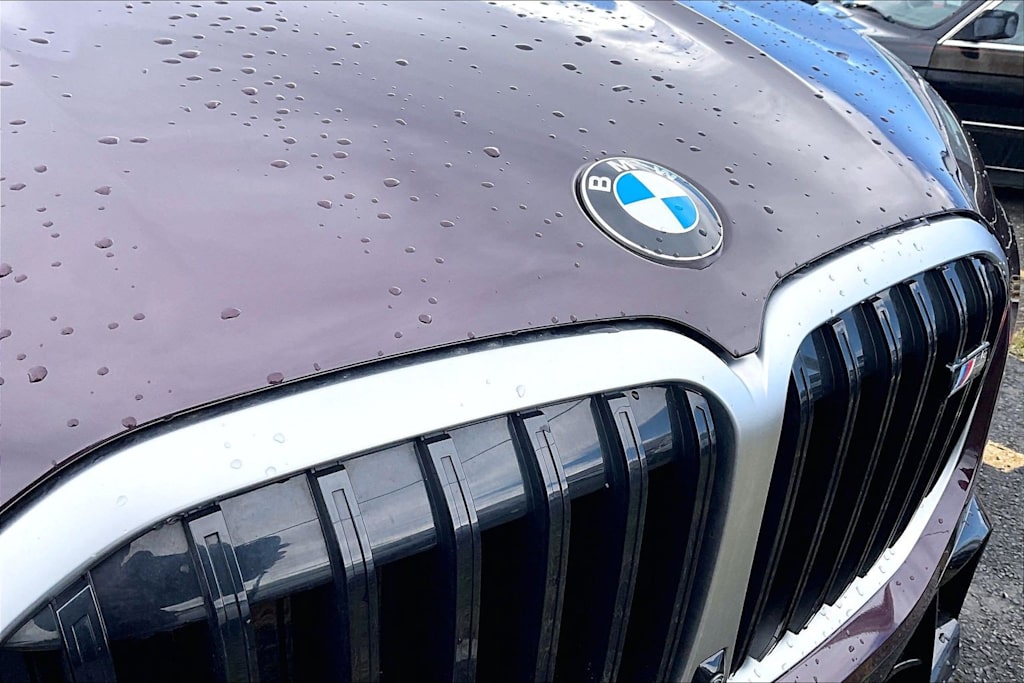 Thumbnail: 2025 BMW X7 - 18