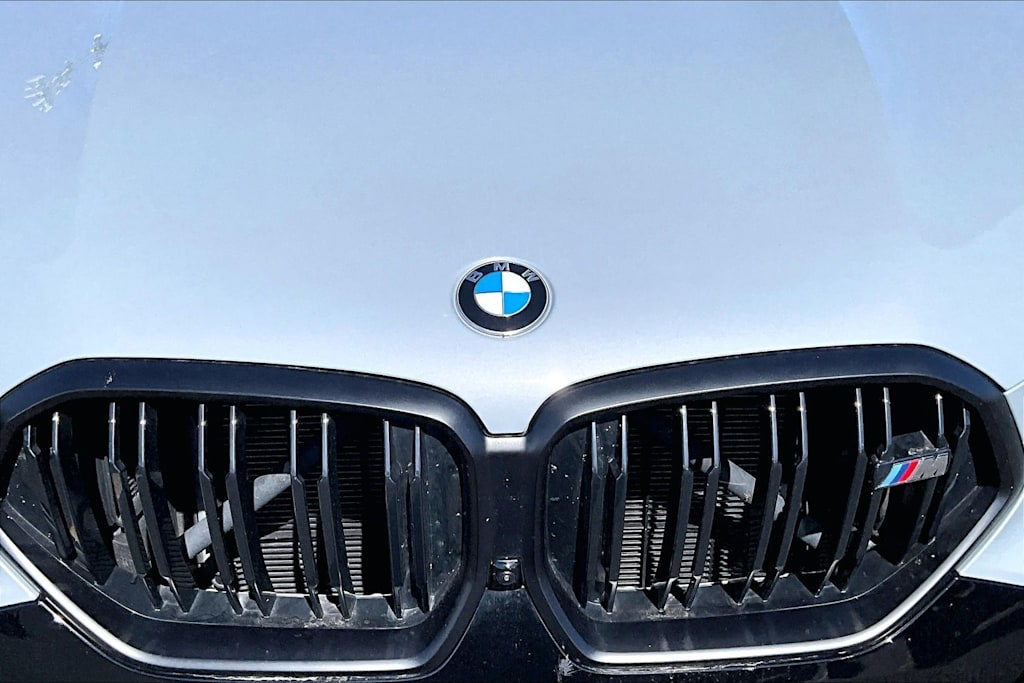 Thumbnail: 2025 BMW X6 - 19