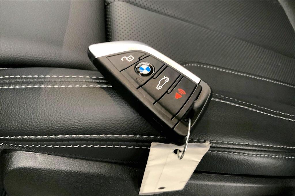 Thumbnail: 2024 BMW X3 - 19