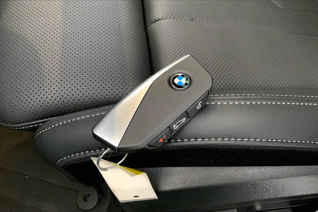 Thumbnail: 2025 BMW X3 - 19