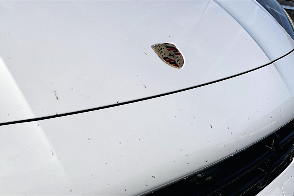Thumbnail: 2019 Porsche Cayenne - 17