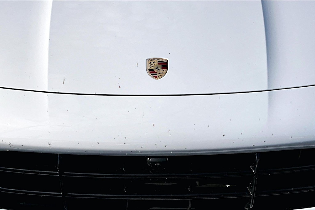 Thumbnail: 2019 Porsche Cayenne - 18