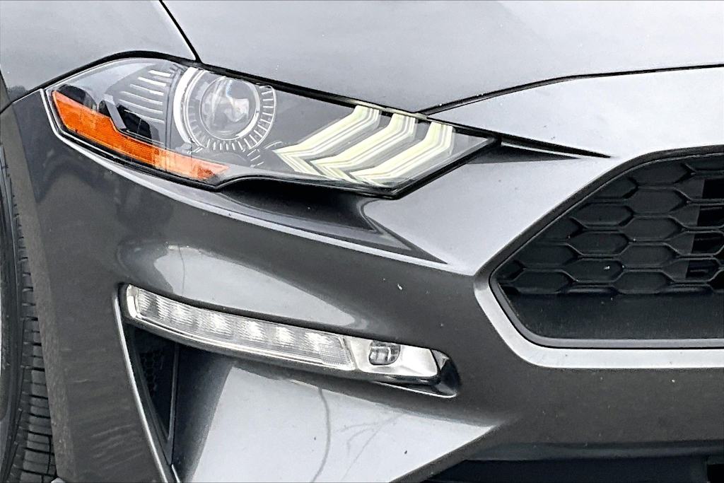 Thumbnail: 2019 Ford Mustang - 30