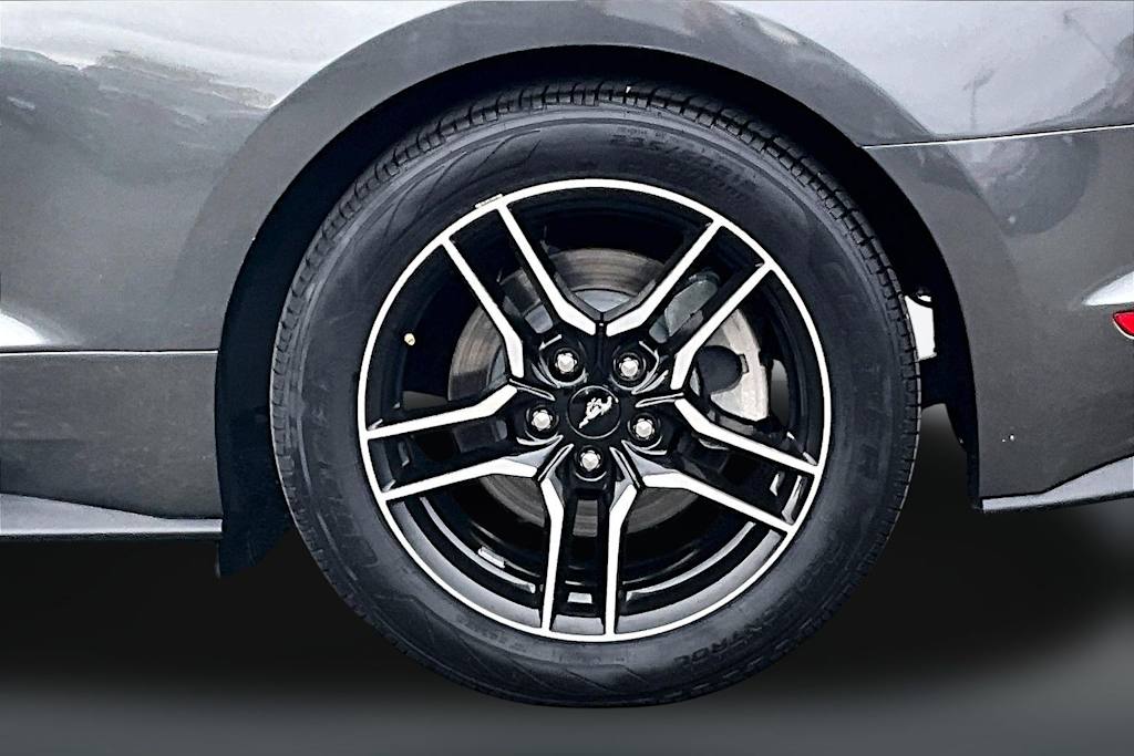 Thumbnail: 2019 Ford Mustang - 32