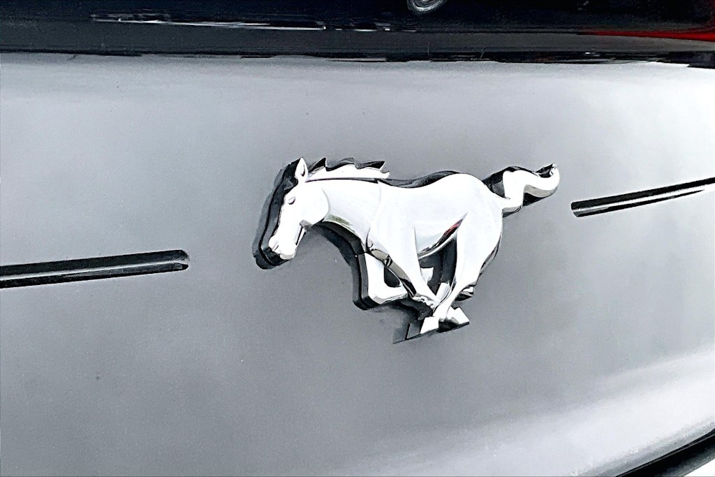 Thumbnail: 2019 Ford Mustang - 7