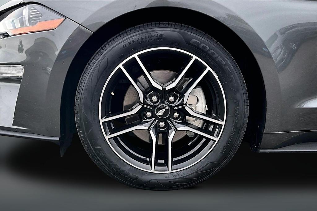 Thumbnail: 2019 Ford Mustang - 8