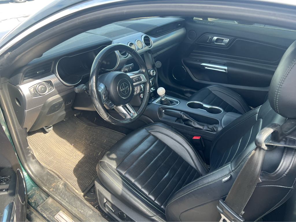 Thumbnail: 2019 Ford Mustang - 5