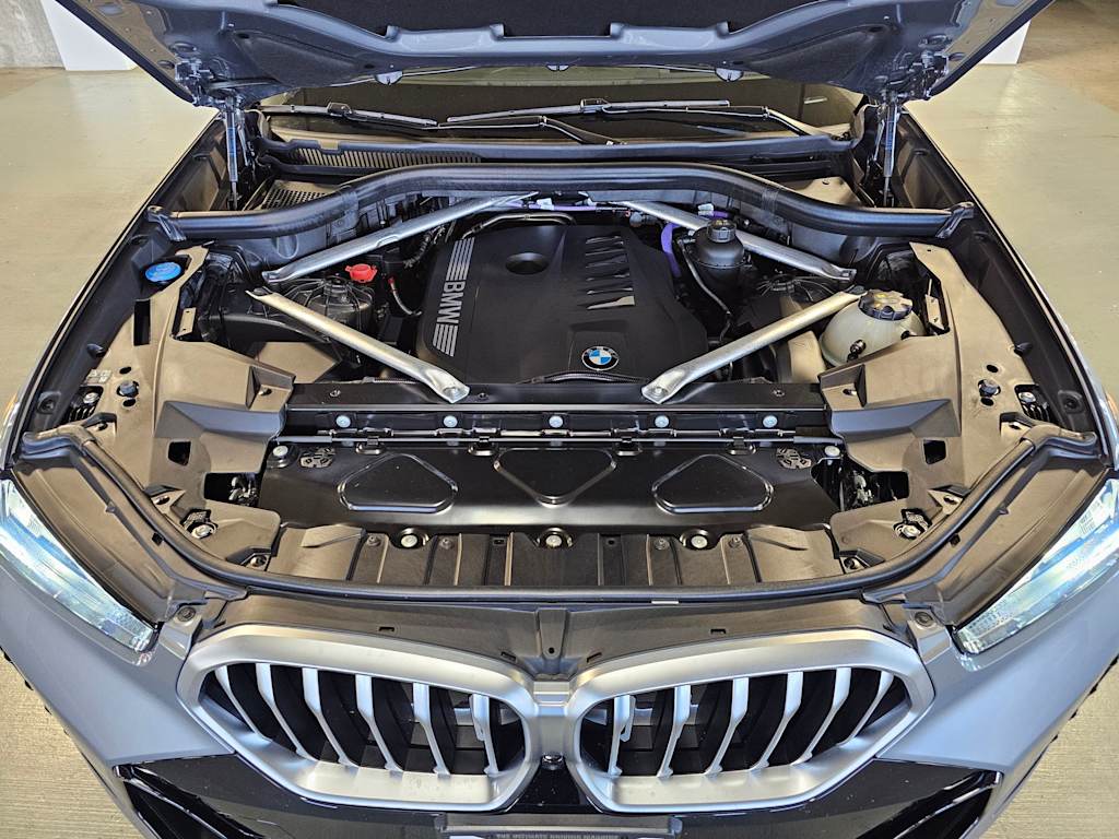 Thumbnail: 2025 BMW X6 - 9