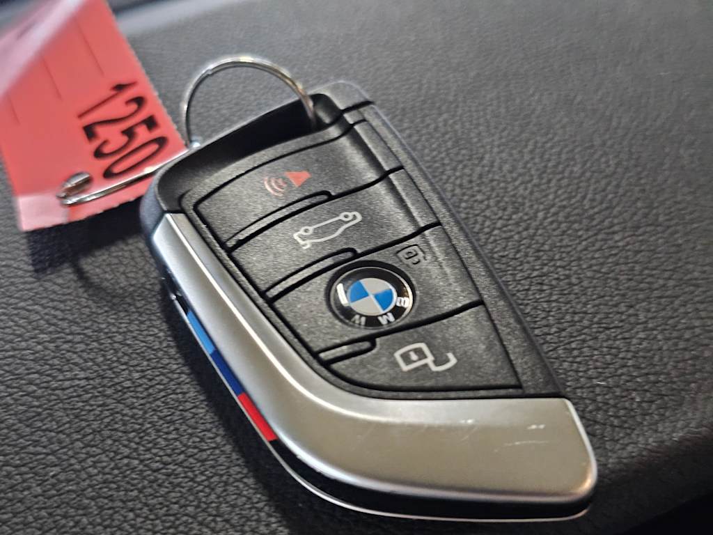 Thumbnail: 2023 BMW X3 - 19