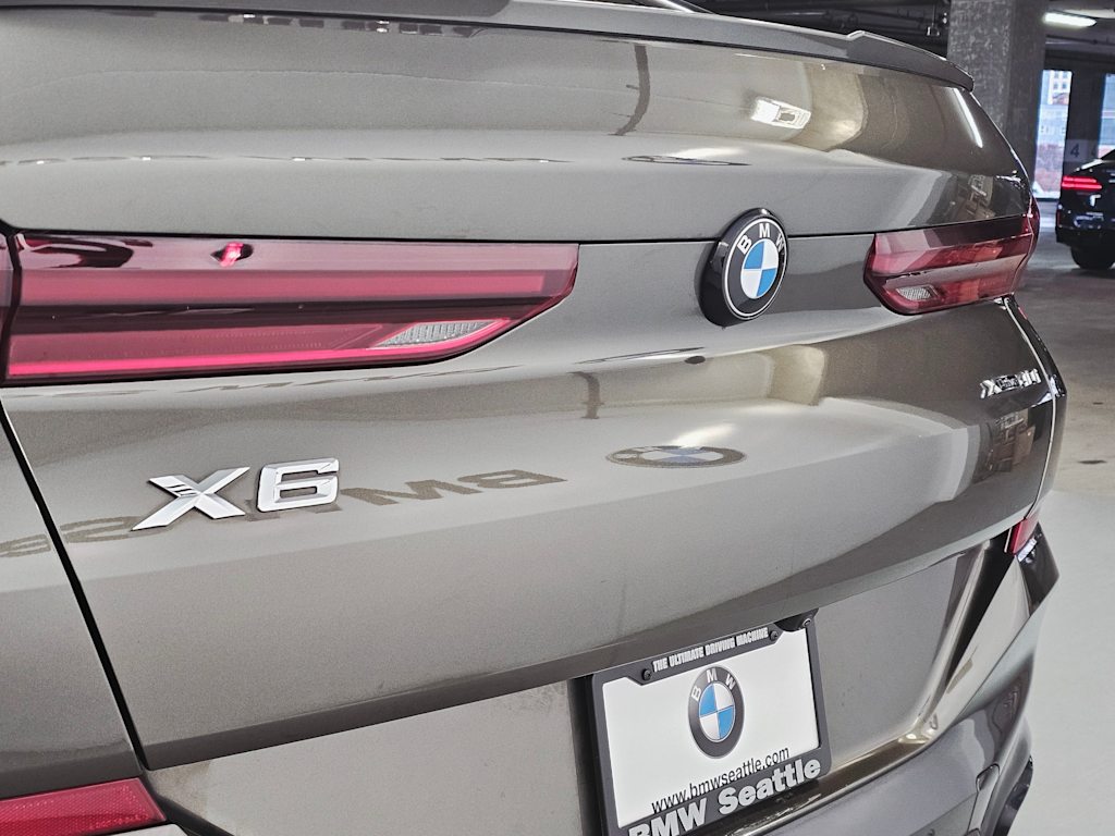 Thumbnail: 2023 BMW X6 - 19