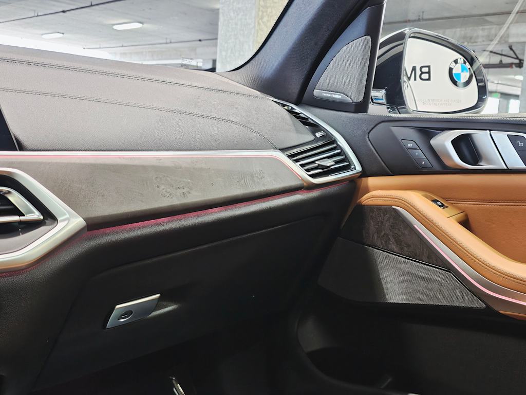 Thumbnail: 2019 BMW X5 - 25