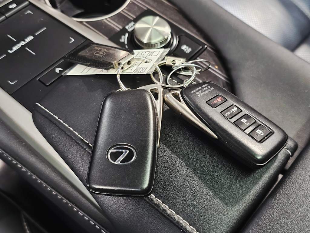 Thumbnail: 2022 Lexus RX - 18