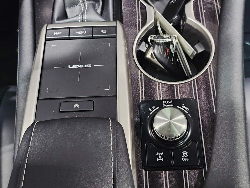 Thumbnail: 2022 Lexus RX - 24