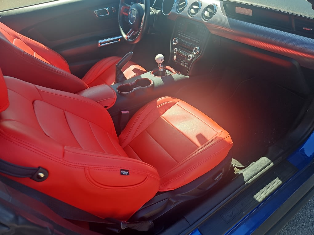 Thumbnail: 2017 Ford Mustang - 10