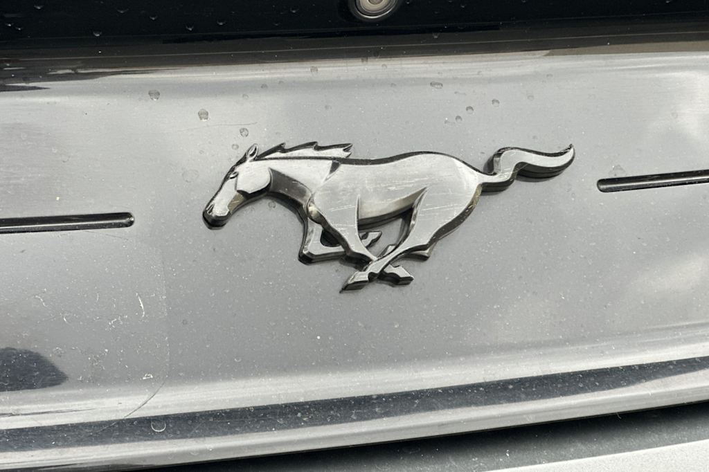 Thumbnail: 2019 Ford Mustang - 7